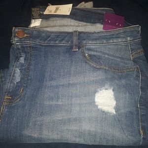 Lane Bryant Boyfriend Jeans
